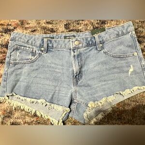 NWT Wild Fable Light Blue Denim Frayed Hem Women Shorts size 14
